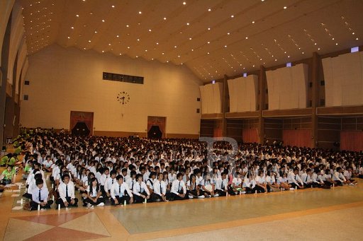 MCT032 Copy.JPG